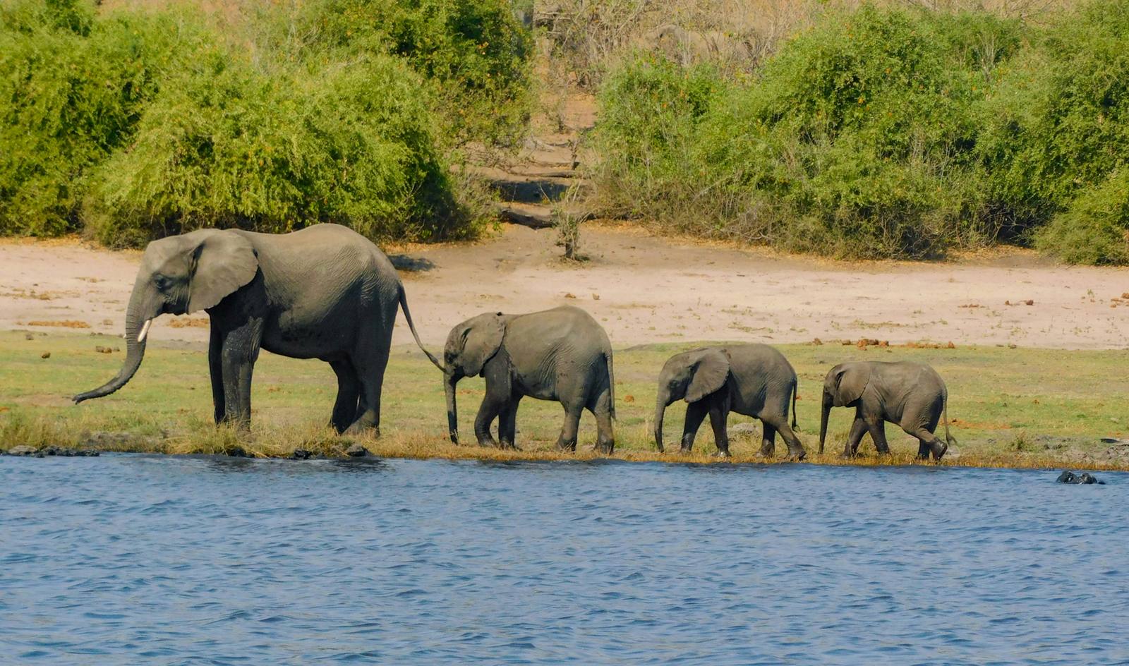 Zambia & Zimbabwe Victoria Falls — photo 3