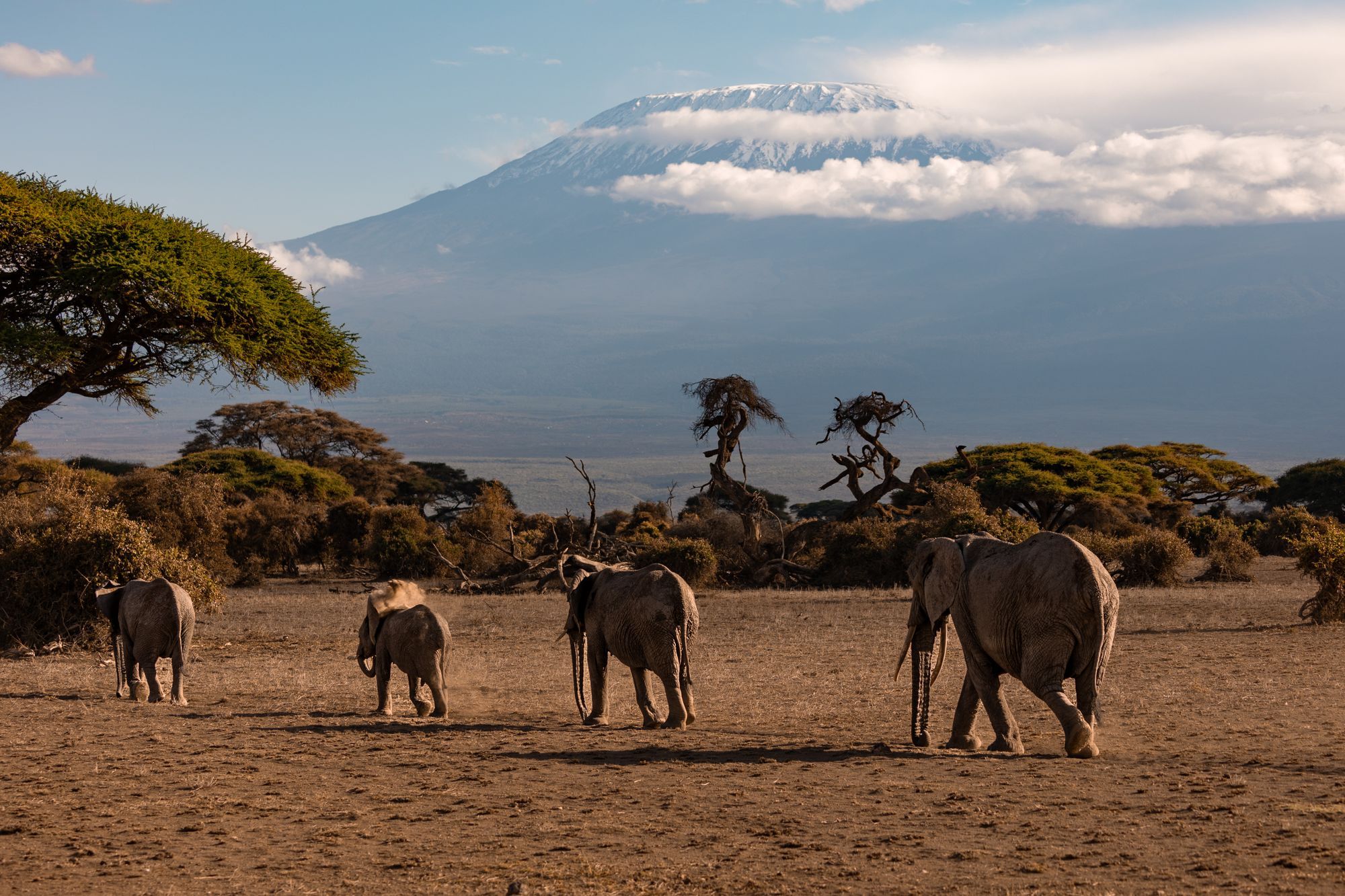 Classic Kenya Safari: Amboseli, Lake Nakuru & Maasai Mara — Nairobi, Amboseli, Lake Nakuru, Maasai Mara