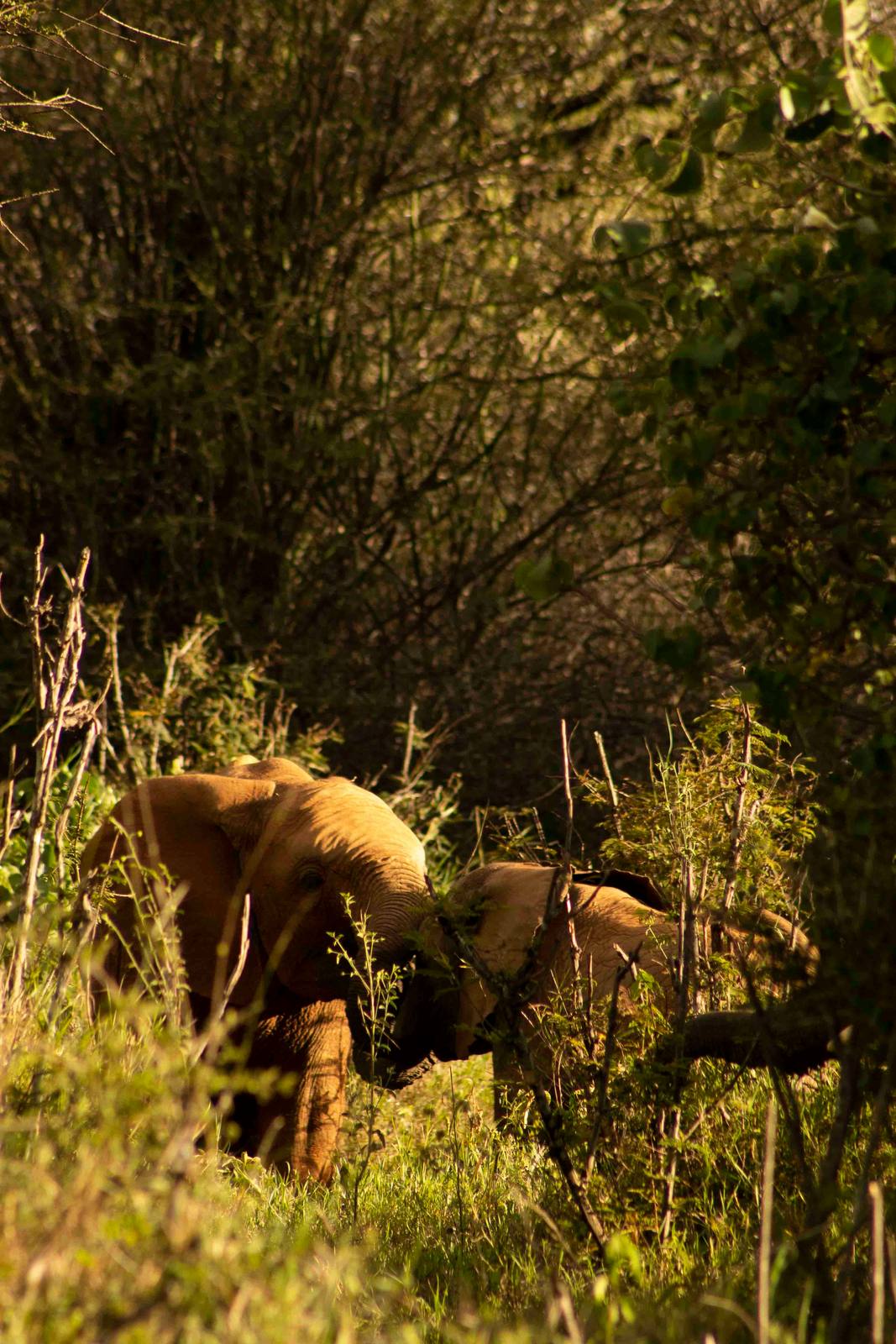 Weekend Getaway - Mount Kenya — photo 1