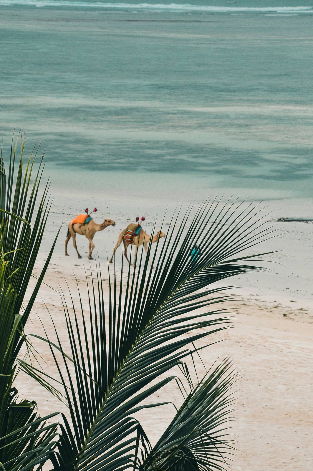 Coast - Mombasa Beach Retreat — photo 2