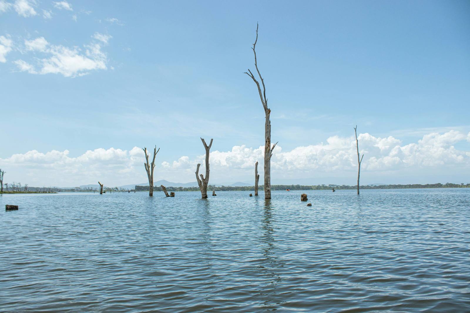 Weekend Getaway - Lake Naivasha — photo 1