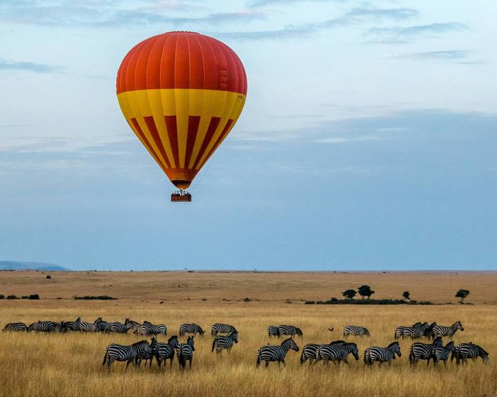 Safari Circuit by Flight