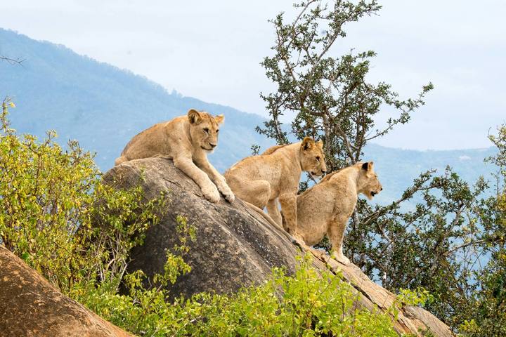Tsavo & Taita Hills Safari