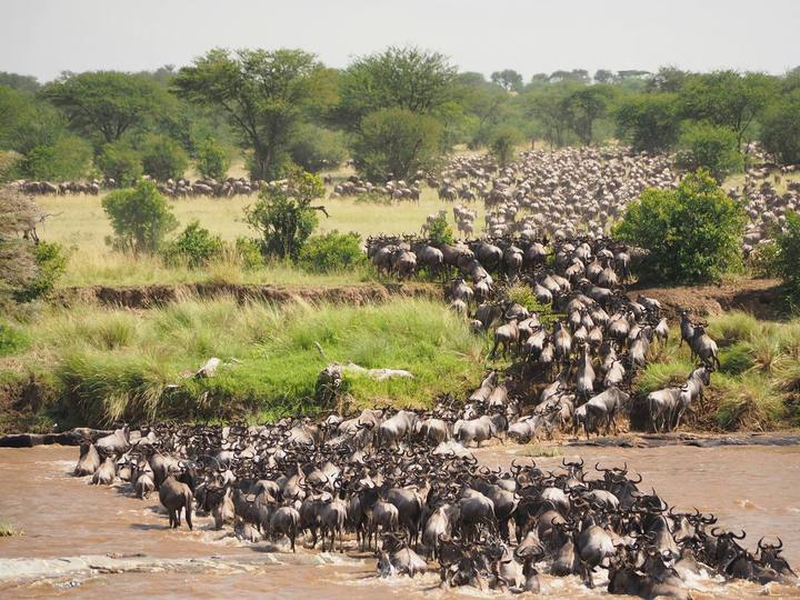 Serengeti, Tanzania