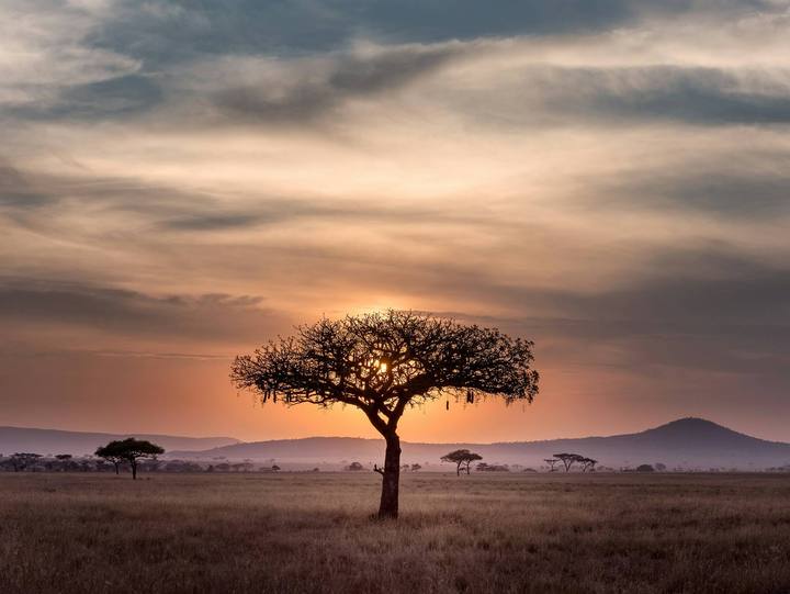 Honeymoon Serengeti Tanzania Migration Safari