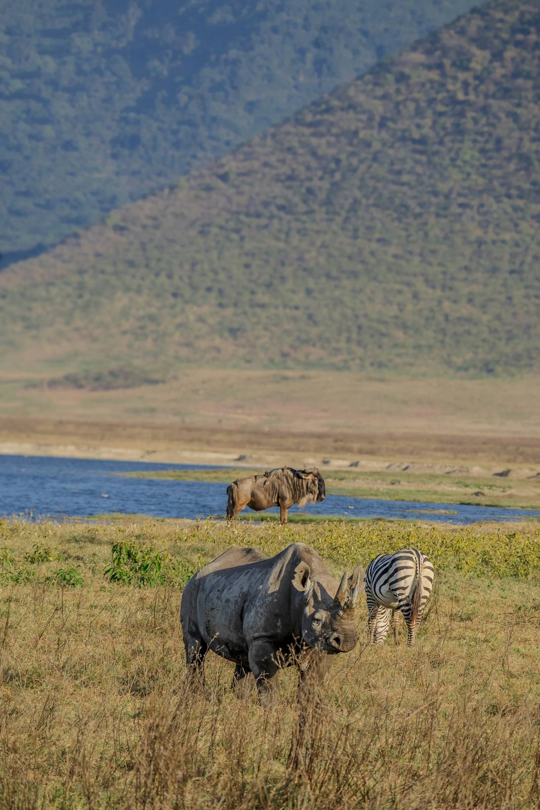 Private Kenya & Tanzania Great Migration Safari — photo 2