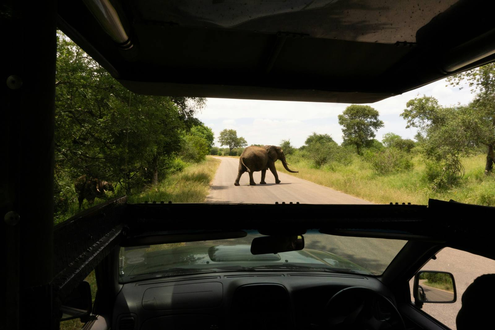 South Africa Discovery — photo 4