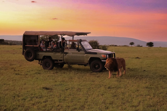 Sundowners, Maasai Mara