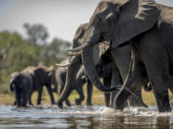 Ghana & Rwanda Heritage Tour